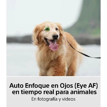 Imagen 7 de Sony Cámara Híbrida Full-frame Alpha 7 IV ILCE-7M4/B Negro 33 MP