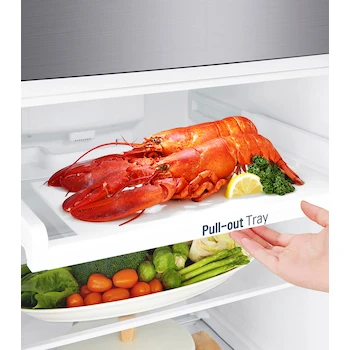 Imagen 2 de Refrigerador LG Top Mount SMARTCooling 11 Pies Cúbicos Modelo GT35WP Color Plata
