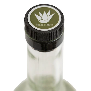 Imagen 3 de Penca Mágica Mezcal Coyote 750 ml