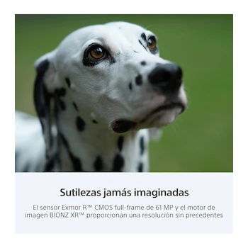 Imagen 4 de Sony Alpha A7R IV Full-Frame Mirrorless Digital Camera Body 61 MP Black