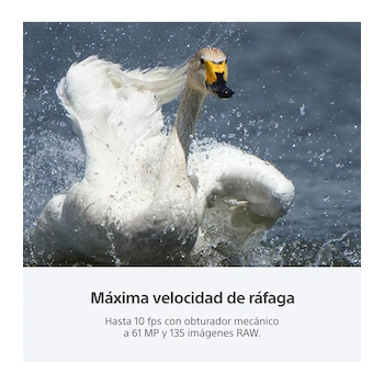 Imagen 5 de Sony Alpha A7R IV Full-Frame Mirrorless Digital Camera Body 61 MP Black