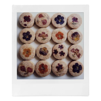 Imagen 2 de Película Instantánea Fujifilm Instax Square de 20 Exposiciones con Borde Blanco