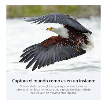 Imagen 3 de Sony Alpha a9 III Cámara Digital Mirrorless ILCE-9M3 24.6 MP Full-Frame Negro Cuerpo Solo