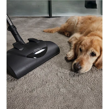 Imagen 2 de Aspiradora de Trineo Miele Complete C3 Cat & Dog Blanca con Cepillo para Mascotas