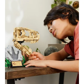 Imagen 5 de Lego Jurassic World Fósiles de Dinosaurio Cráneo de T. Rex Modelo 76964