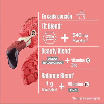 Imagen 3 de Birdman Fitmingo Proteína Vegana con Fit, Beauty y Balance Blends 1700g Sabor Moka