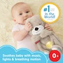 Miniatura de Fisher-Price Soothe 'n Snuggle Búho Juguete de Peluche Portátil para Bebé Modelo HGB49 Color Marrón