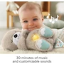 Miniatura de Fisher-Price Soothe 'n Snuggle Búho Juguete de Peluche Portátil para Bebé Modelo HGB49 Color Marrón