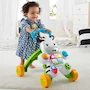 Miniatura de Fisher-Price Cebra de Aprendizaje, Andador para Bebés, Juguete Didáctico, 6 Meses en Adelante, Modelo B01DXO9SJ8