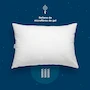 Miniatura de Sognare Línea Base 2 Pack Almohadas Tamaño Estándar