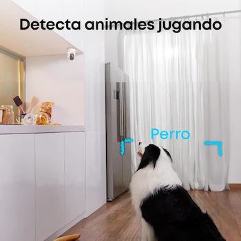 Imagen 4 de eufy Security eufyCam E220 Indoor Cam 2K Pan & Tilt Cámara de Seguridad Interior Domo 360° Wi-Fi Blanca