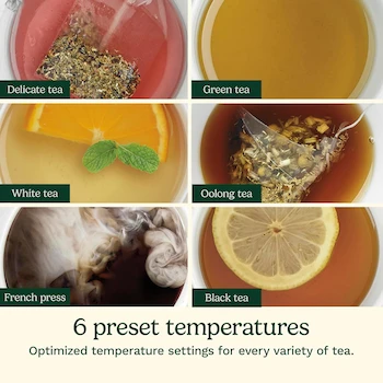 Imagen 5 de Cuisinart CPK-17 PerfecTemp Hervidor Eléctrico Inalámbrico de Acero Inoxidable con Control de Temperatura 1.7 Litros