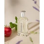 Miniatura de Tommy Hilfiger Tommy Eau de Toilette para Hombre 100 ml, Fragancia Cítrica Aromática con Notas de Menta y Pomelo, Modelo 22548024324, Serie Original, Envase de Vidrio Transparente, Origen Suiza