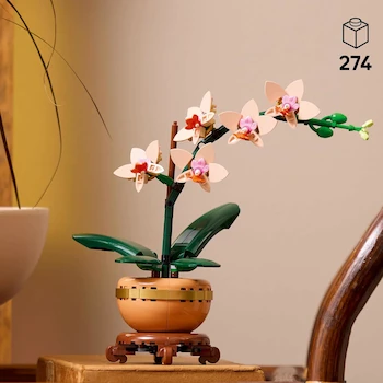 Imagen 2 de LEGO® Colección Botánica Mini Orquídea 10343: Set de Construcción para Adultos 18+, 274 Piezas, 25 cm Alto, 5 Flores Durazno en Flor y Brotes, Hojas Verdes, Maceta Terracota Clara sobre Plinto Efecto Madera