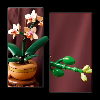 Imagen 4 de LEGO® Colección Botánica Mini Orquídea 10343: Set de Construcción para Adultos 18+, 274 Piezas, 25 cm Alto, 5 Flores Durazno en Flor y Brotes, Hojas Verdes, Maceta Terracota Clara sobre Plinto Efecto Madera