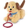 Miniatura de Fisher-Price Perrito de Juguete Snoopy Pequeño Multicolor, Modelo H9447, para Bebés de 12 Meses a 15 Años, Dimensiones 20.29 x 12.5 x 19.2 cm, Peso 440 g, ASIN B000BB56B6