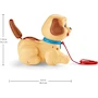 Miniatura de Fisher-Price Perrito de Juguete Snoopy Pequeño Multicolor, Modelo H9447, para Bebés de 12 Meses a 15 Años, Dimensiones 20.29 x 12.5 x 19.2 cm, Peso 440 g, ASIN B000BB56B6