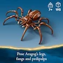 Miniatura de LEGO Harry Potter 76434 Aragog en el Bosque Prohibido Set de Construcción, Figura de Araña Acromántula Gigante, 2 Minifiguras (Harry Potter y Ron Weasley), 195 Piezas, Tamaño 7 cm Alto x 16 cm Largo x 18 cm Ancho, Serie Harry Potter, para 7+ Años