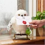 Miniatura de Wizarding World, Lechuza Hedwig de Harry Potter en Peluche Blanco, Tamaño 9 Pulgadas, Modelo 6061829, Serie Harry Potter, con Sobre de Hogwarts, Juguete para Niños a Partir de 5 Años