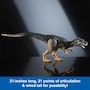 Miniatura de Mattel Jurassic World Hammond Collection Figura de Acción de Dinosaurio Allosaurus Modelo JCG13, Tamaño 21 Pulgadas de Largo por 6.8 Pulgadas de Alto, Edad Recomendada 8+ Años