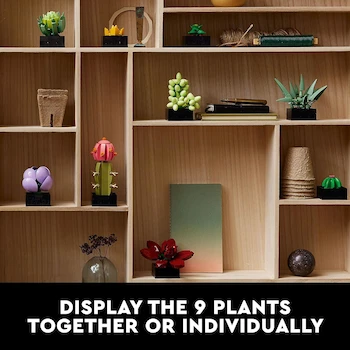 Imagen 4 de LEGO Icons Botanical Collection Set Succulents 10309 para Adultos - 771 Piezas Multicolor, 9 Plantas Suculentas de Exhibición, Tamaño: 13 cm Alto x 18 cm Ancho x 12 cm Profundo