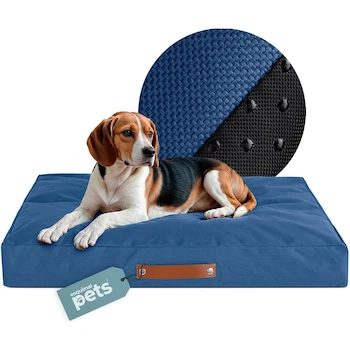 Imagen de referencia para ESQUIMAL Cama Antiestrés de Foam para Perro y Gato, Colchoneta Rectangular para Mascota (Azul, Mediano)