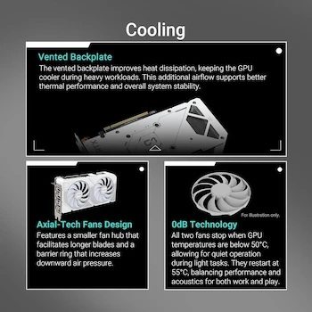 Imagen 3 de ASUS Dual GeForce RTX 5060 Ti 16GB GDDR7 Blanco Edición OC