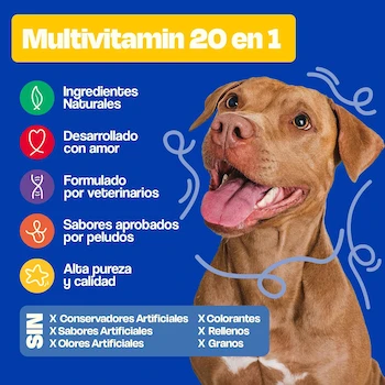 Imagen 2 de Dogelthy Multivitamin 20 en 1 Suplemento para Perros con Glucosamina, Complejo B, Aceite de Krill, Vitaminas y Antioxidantes Sabor Cerdo 270g