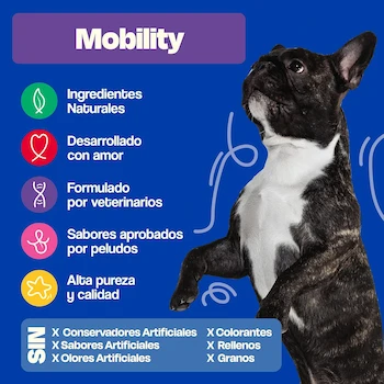Imagen 2 de Dogelthy Mobility Suplemento Condroprotector para Perros con Glucosamina, Condroitina y Colágeno Tipo 2 UC-II Complemento para Croquetas o Dieta BARF 270g Sabor Pescado