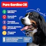 Miniatura de Dogelthy Pure Sardine Oil 450 ml - Aceite de Sardina Puro con Omega 3 para Perro - Suplemento de Aceite de Pescado 300 MG EPA + DHA por Dosis - para Croquetas o Dieta BARF