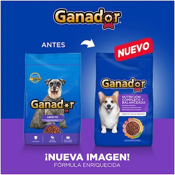 Imagen 2 de Croquetas para Perro Ganador Original Adulto Razas Pequeñas, Modelo B01FKNX3FU, 20 kg, Color Azul