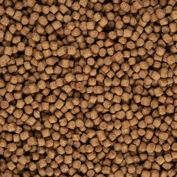 Imagen 4 de Perfect Sense PS1855 Alimento Seco Premium para Perros Adultos Senior Croquetas Pequeñas 15 kg ASIN B0BGZ9X91T