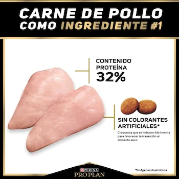 Imagen 3 de Purina Pro Plan Adulto Razas Pequeñas Sabor Pollo 3.5 kg - Alimento Seco para Perros (Paquete de 1) - 7501072210692