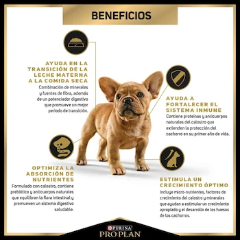 Imagen 5 de Purina Pro Plan Adulto Razas Pequeñas Sabor Pollo 3.5 kg - Alimento Seco para Perros (Paquete de 1) - 7501072210692