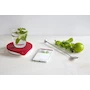 Miniatura de Drop Kitchen Báscula de Cocina de Silicona Antideslizante Conectada Bluetooth con App Interactiva de Recetas D600A Color Rojo Capacidad 6 kg