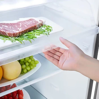 Imagen 5 de Hisense RT90N6WKX2 - Refrigerador Top Mount de 9 Pies Cúbicos, Color Gris, Dimensiones 55x56x168 cm (Ancho x Profundidad x Alto)