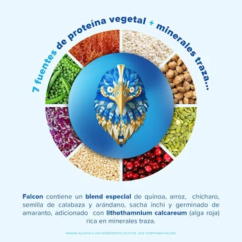 Imagen 5 de Birdman Falcon Protein Proteína Vegana Orgánica Vainilla 1.17kg