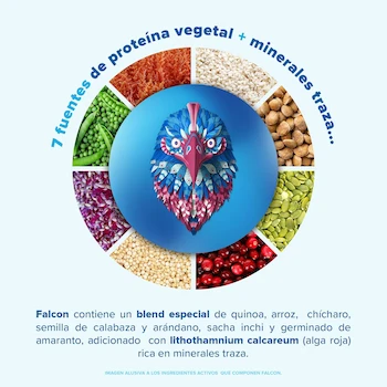 Imagen 4 de Birdman Falcon Protein Proteína Vegetal Orgánica en Polvo Vegana USDA Sabor Fresa 1.170kg 39 Servicios