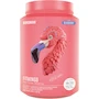 Miniatura de Birdman Fitmingo Proteína Vegana Sabor Blueberry 1.02kg 1020g (30 porciones)