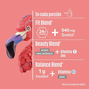 Imagen 2 de Birdman Fitmingo Proteína Vegana en Polvo Blueberry 1.7Kg