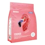 Miniatura de Birdman Fitmingo Proteína Vegana en Polvo Blueberry 1.7Kg