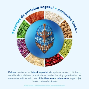 Imagen 5 de Birdman Falcon Protein Proteína Vegana Orgánica Chocolate 1.17kg