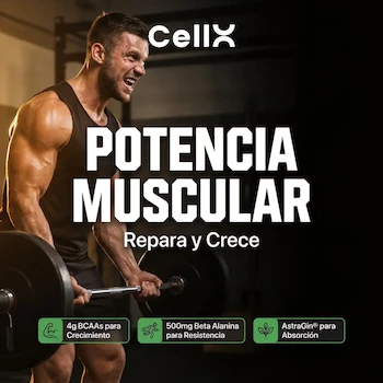Imagen 2 de Cellx Suplemento Deportivo BCAAs 2:1:1 300g Sabor Berries