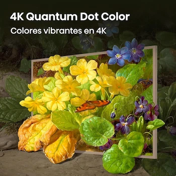 Imagen 5 de Hisense CanvasTV S7S QLED 4K 55" Smart TV