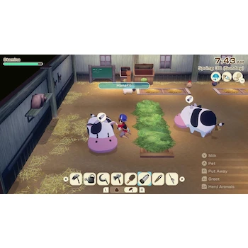 Imagen 5 de Story of Seasons Grand Bazaar Edición Premium - Nintendo Switch