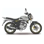 Miniatura de Italika FT150 GTS 2026 Gris 149 cc Motocicleta de Trabajo