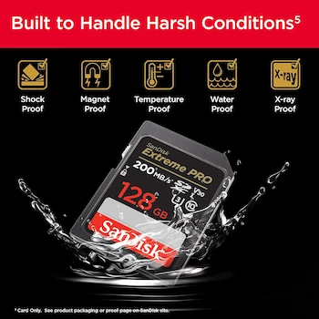 Imagen 5 de SanDisk Extreme PRO SDXC UHS-I 128 GB SDSDXXD-128G-GN4IN